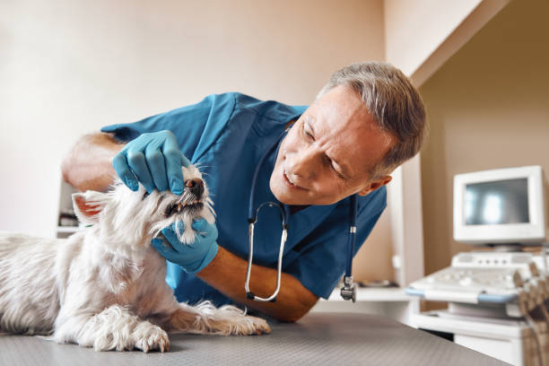 Best Emergency Tooth Extraction in Davidson, NC