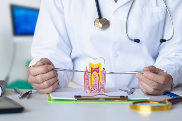 Best 24-Hour Emergency Dentist in Davidson, NC